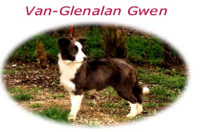 gwen.jpg
