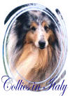 logo3_small.jpg