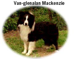 mackenzie.jpg