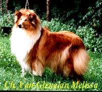 melissa.jpg
