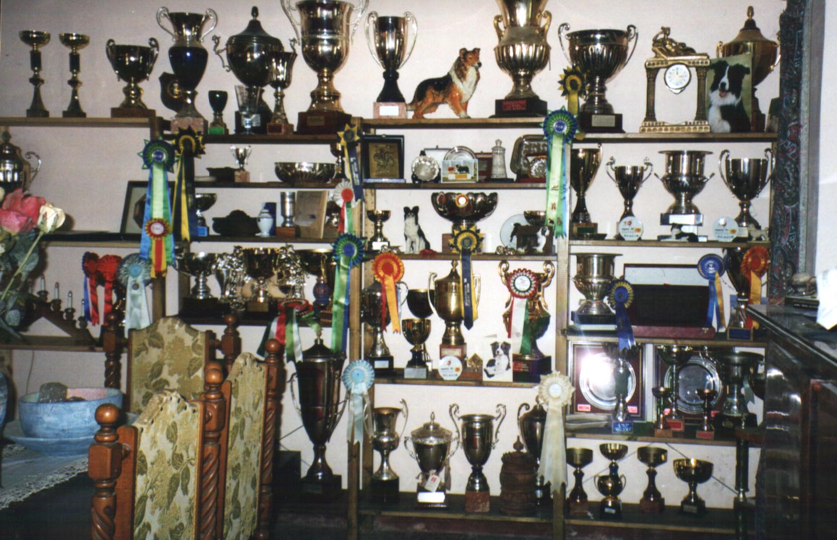 trophies.jpg